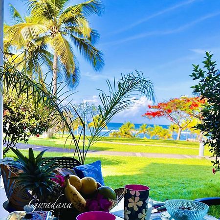 Acces Direct Plage, Vue Mer D'Exception, Les Gwada Studios, Village Vacances ساينت آن المظهر الخارجي الصورة