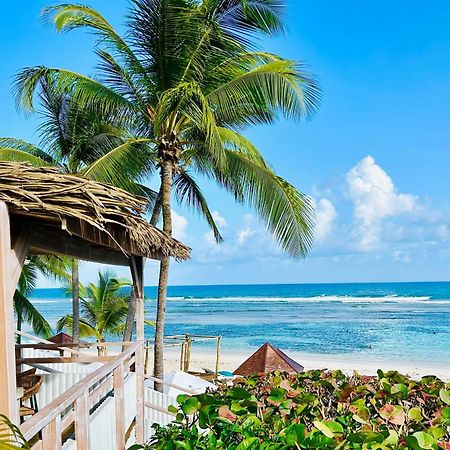 Acces Direct Plage, Vue Mer D'Exception, Les Gwada Studios, Village Vacances ساينت آن المظهر الخارجي الصورة