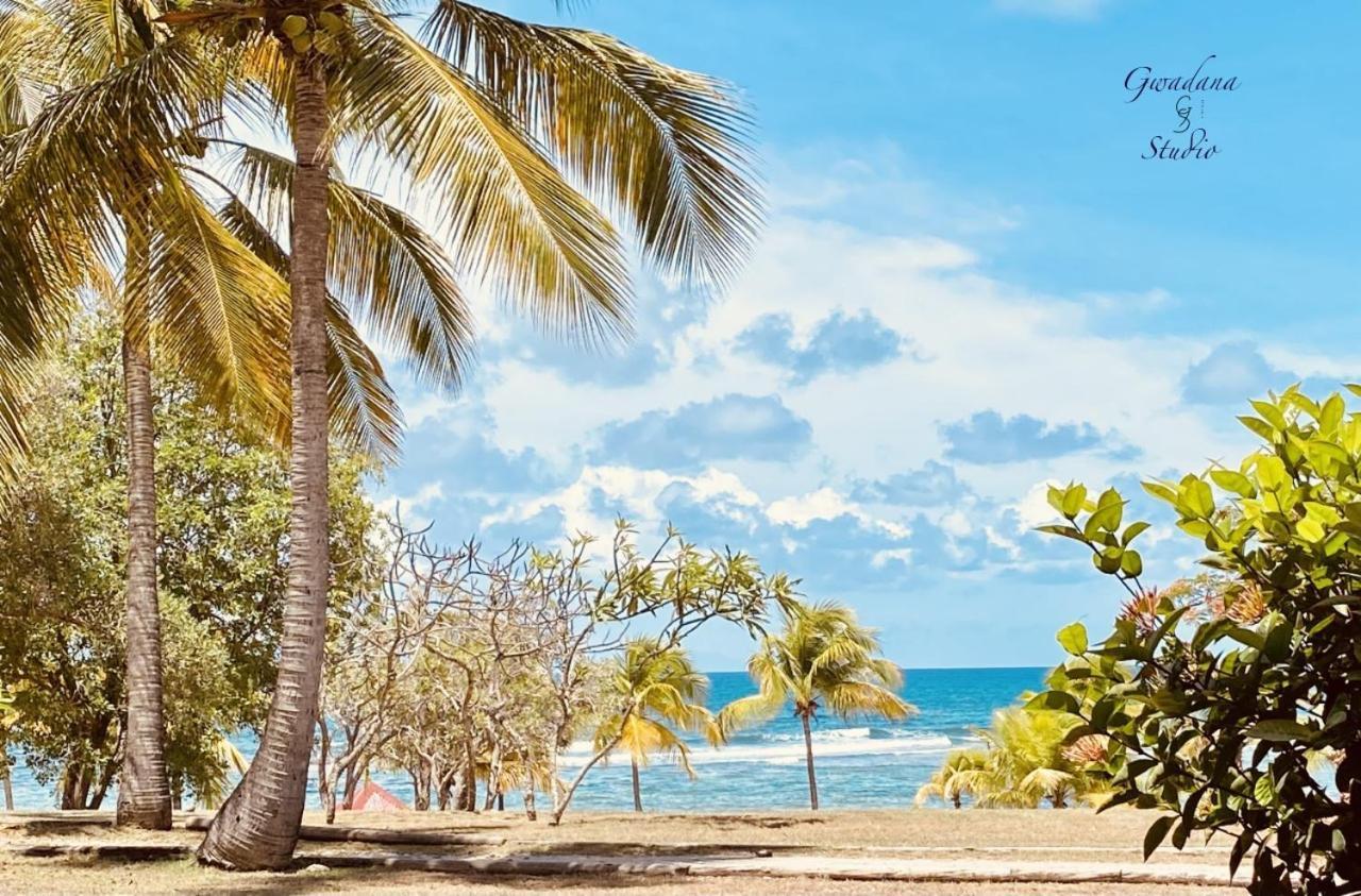 Acces Direct Plage, Vue Mer D'Exception, Les Gwada Studios, Village Vacances ساينت آن المظهر الخارجي الصورة