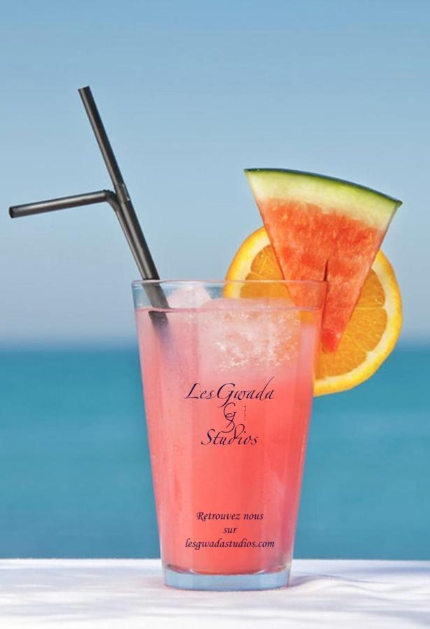 Acces Direct Plage, Vue Mer D'Exception, Les Gwada Studios, Village Vacances ساينت آن المظهر الخارجي الصورة