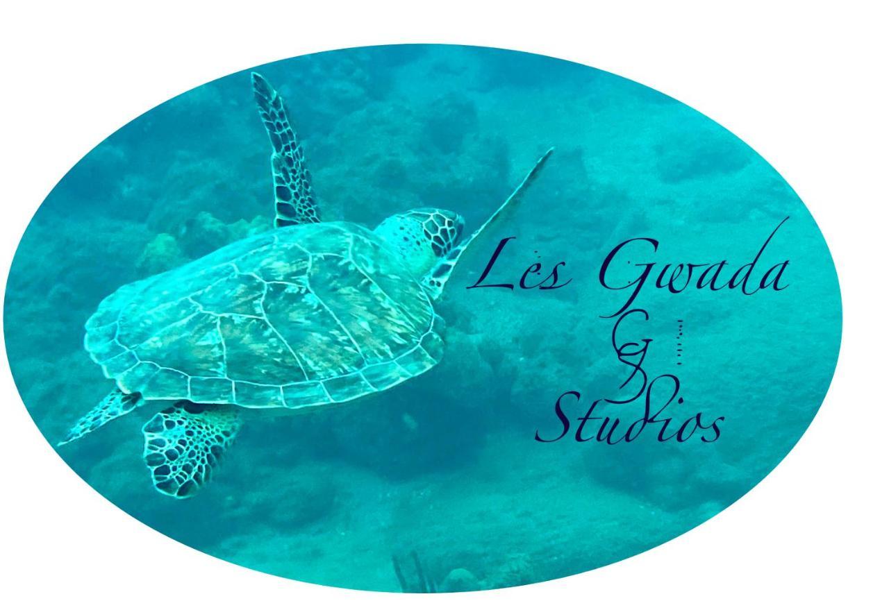 Acces Direct Plage, Vue Mer D'Exception, Les Gwada Studios, Village Vacances ساينت آن المظهر الخارجي الصورة