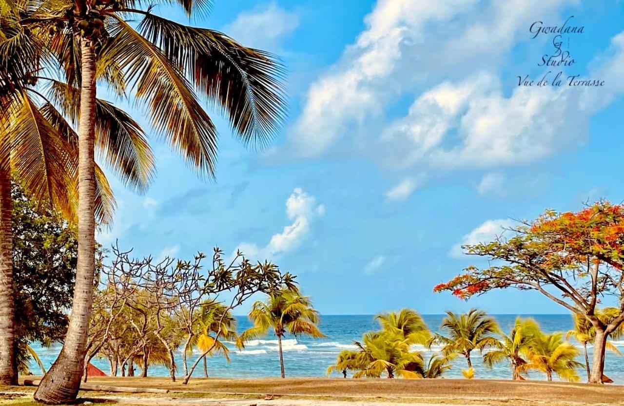 Acces Direct Plage, Vue Mer D'Exception, Les Gwada Studios, Village Vacances ساينت آن المظهر الخارجي الصورة