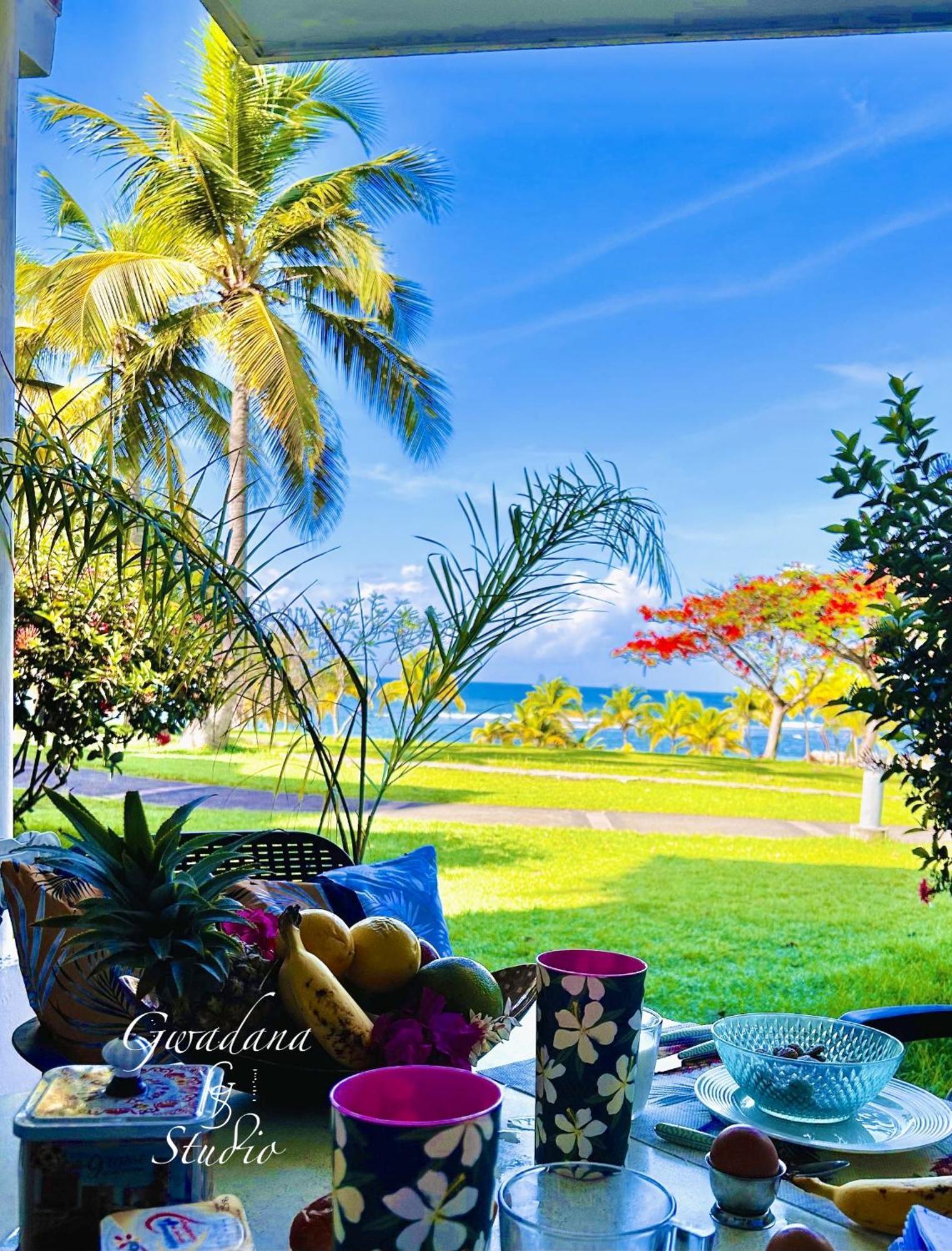 Acces Direct Plage, Vue Mer D'Exception, Les Gwada Studios, Village Vacances ساينت آن المظهر الخارجي الصورة