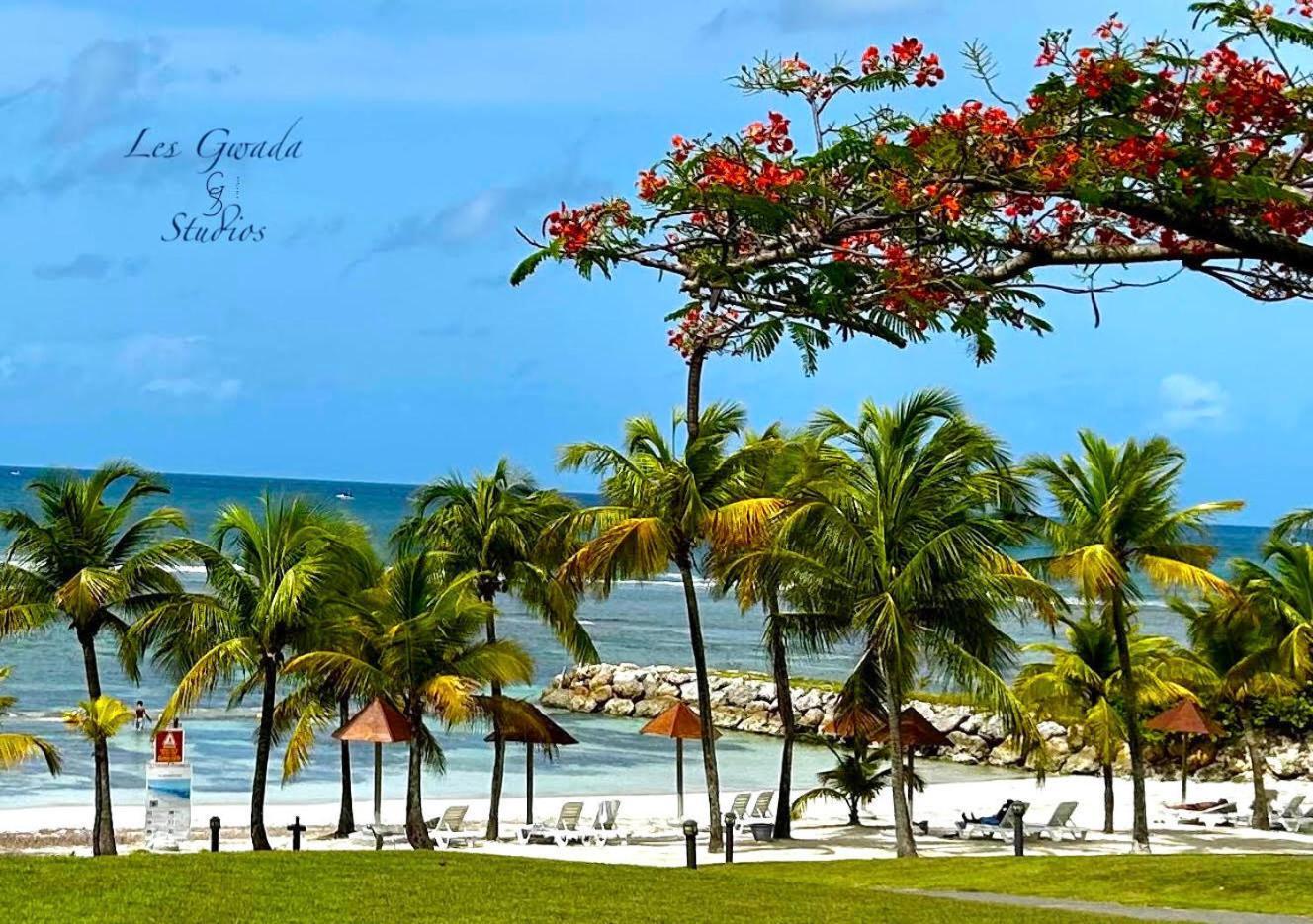 Acces Direct Plage, Vue Mer D'Exception, Les Gwada Studios, Village Vacances ساينت آن المظهر الخارجي الصورة