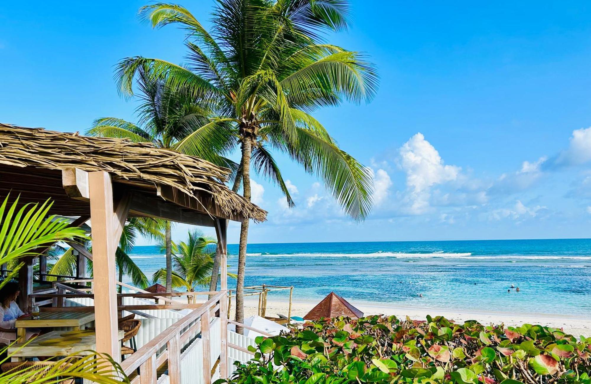 Acces Direct Plage, Vue Mer D'Exception, Les Gwada Studios, Village Vacances ساينت آن المظهر الخارجي الصورة